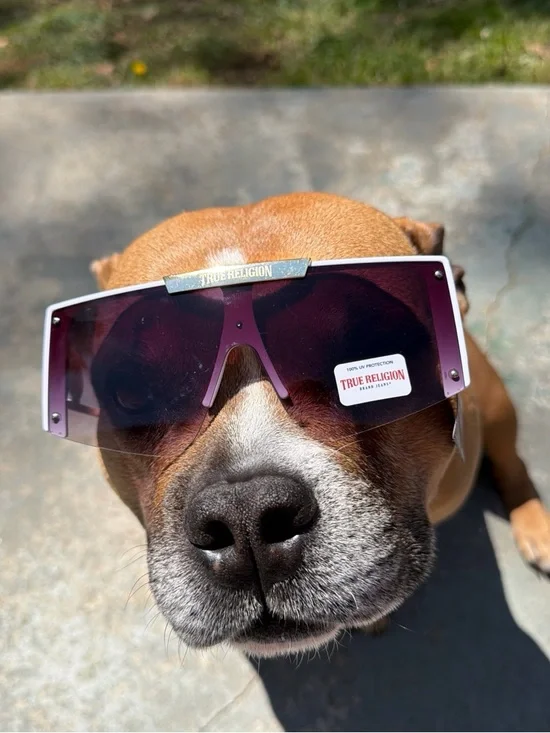 NWT True Religion Sunglasses in White with Purple Lenses - Picture 3 of 8